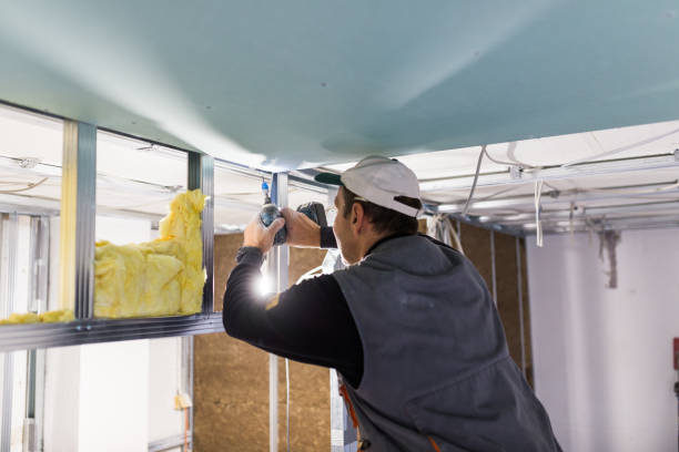 Types of Insulation We Offer in Chouteau, OK
